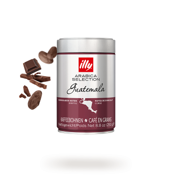 Cafe en Grano Illy- Arabica Selection - GUATEMALA - 250 Gramos